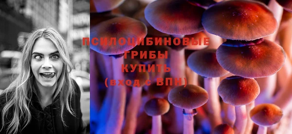гашишное масло Богородицк