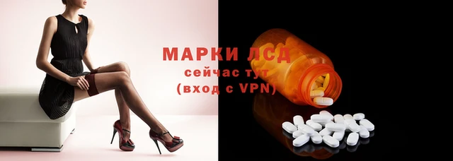 ГАЛЛЮЦИНОГЕННЫЕ ГРИБЫ Бронницы