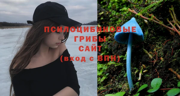 гашишное масло Богородицк