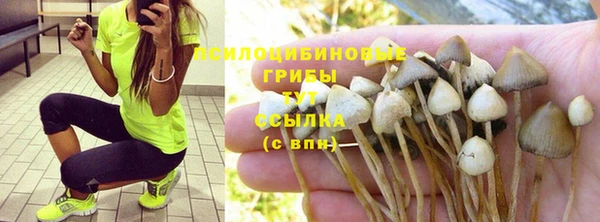 mdma Богданович